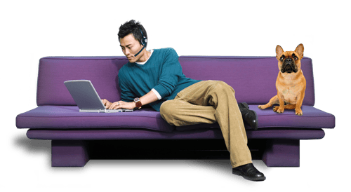 man with dog on couch wearing headset using laptop man with dog on purple couch wearing headset using laptop