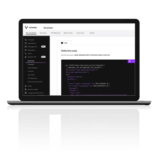 API Developer Center Code View Screen grab of the API Developer Center showing code that can be copied for use.