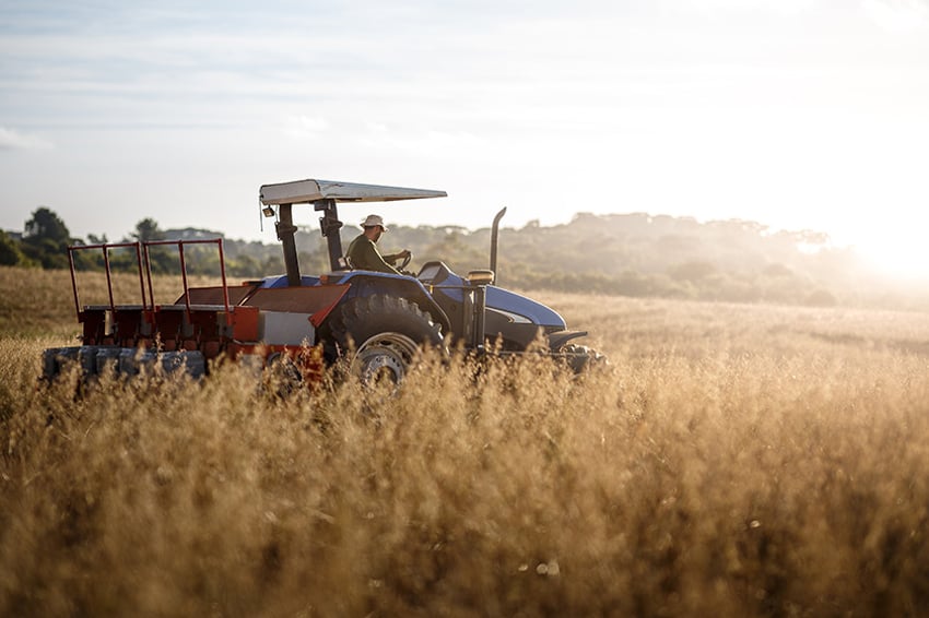 953577456 Tractor and driver in wheat field