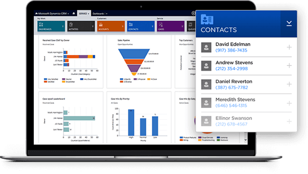 Microsoft Dynamics Interface